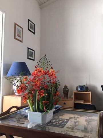 Appartement Ravissant duplex à Saint François Extérieur photo